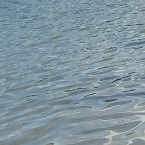 Meet your Posher, Katrina